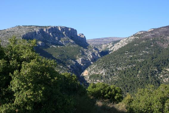 IMG_6081 Mt. Parnitha